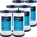 SpiroPure SP-CC1-BB 10x4.5 Catalytic Carbon Water Filter Cartridge by SpiroPure