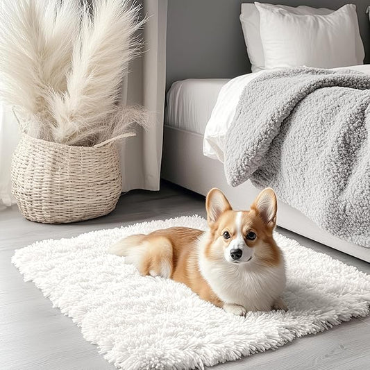OLANLY 2x3 Machine Washable Small Bedside Rug, Soft Fluffy Shaggy Entryway Throw Rugs for Bedroom, Living Room, Indoor Floor Carpet for Kids Girls and Boys, Nursery Rooms, Home Decor Aesthetic, Ivory