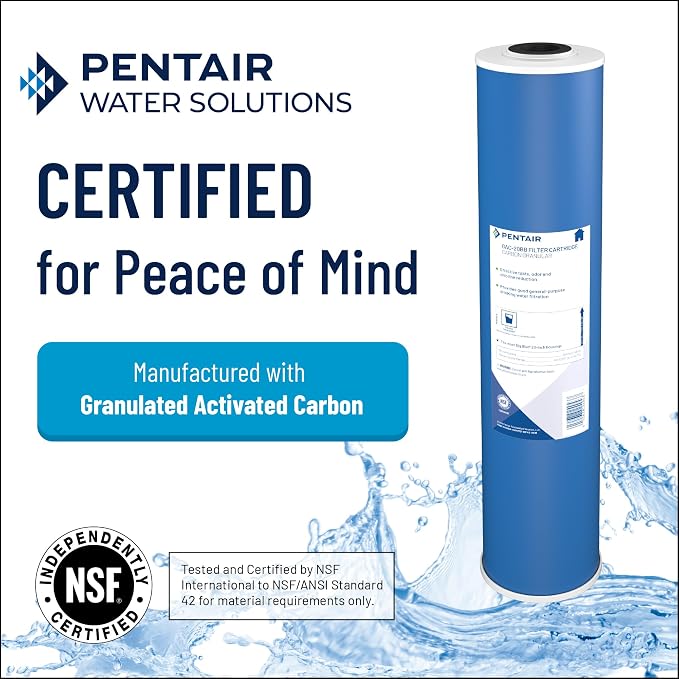 Pentair Pentek GAC-BB Big Blue Carbon Water Filter, Whole House Heavy Duty - Image 3