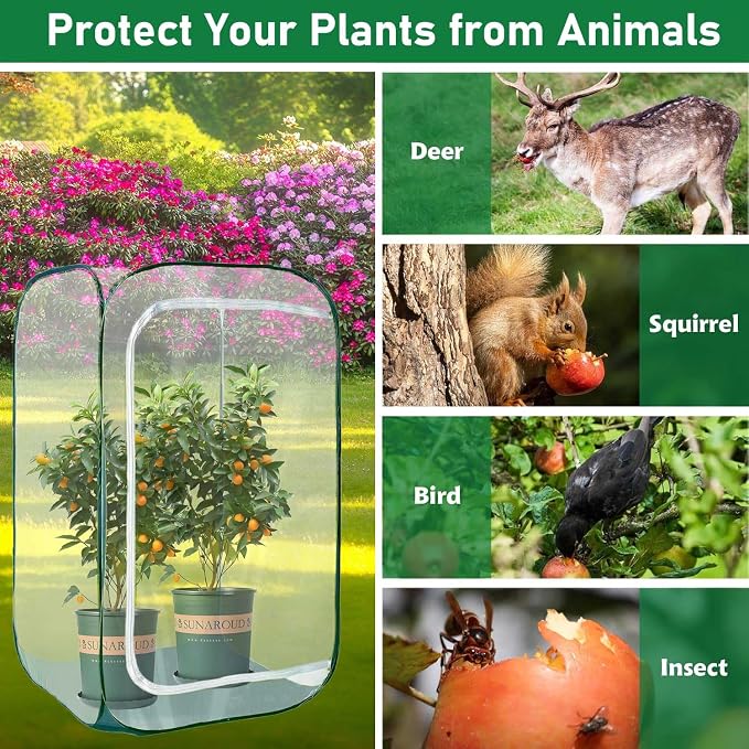 Plant Mini Greenhouse Pop up Frost Protection Enclosure PVC Clear Plant Covers - Image 6
