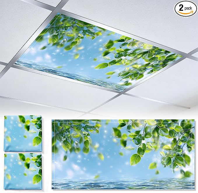 2 Pack Fluorescent Light Covers 4x2 ft Magnetic Light Covers by seewan