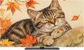 Thanksgiving Cute Tabby Cat Indoor TV Cover, Elastic TV Screen Protector Retro by Unknown