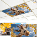 2 Pack Fluorescent Light Covers by BVBOX