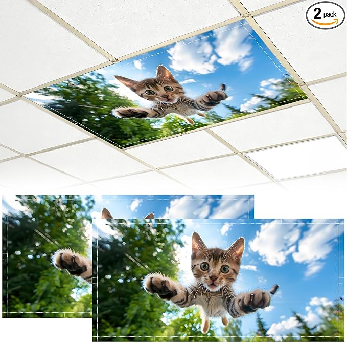 2 Pack Fluorescent Light Covers by BVBOX