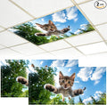 2 Pack Fluorescent Light Covers by BVBOX