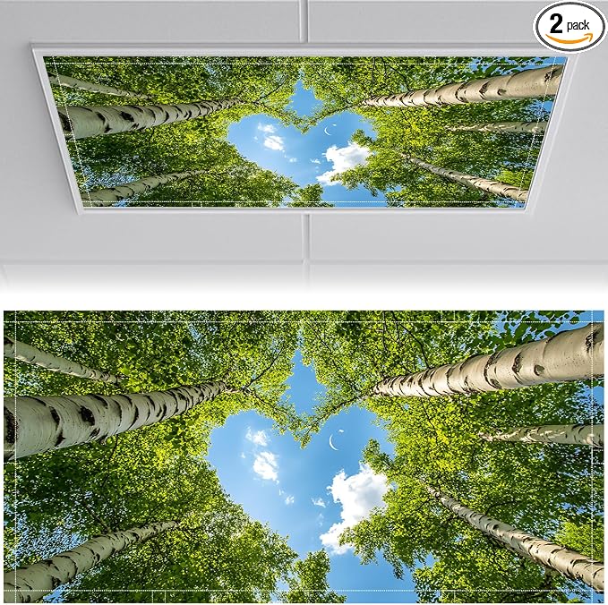 2 Pack Fluorescent Light Covers 4x2 ft Magnetic Light Covers by seewan