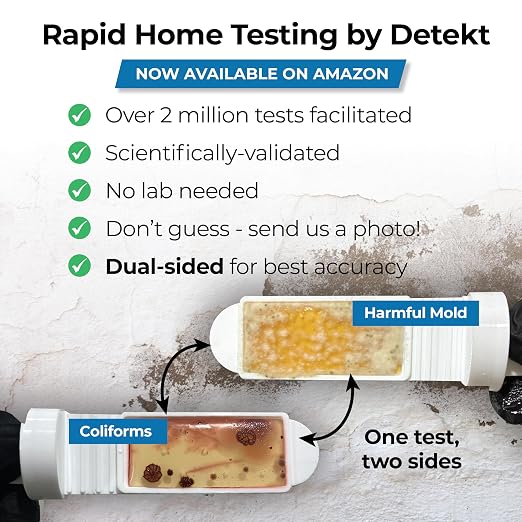 Mold Screening & Indoor Air Quality Test - Image 2