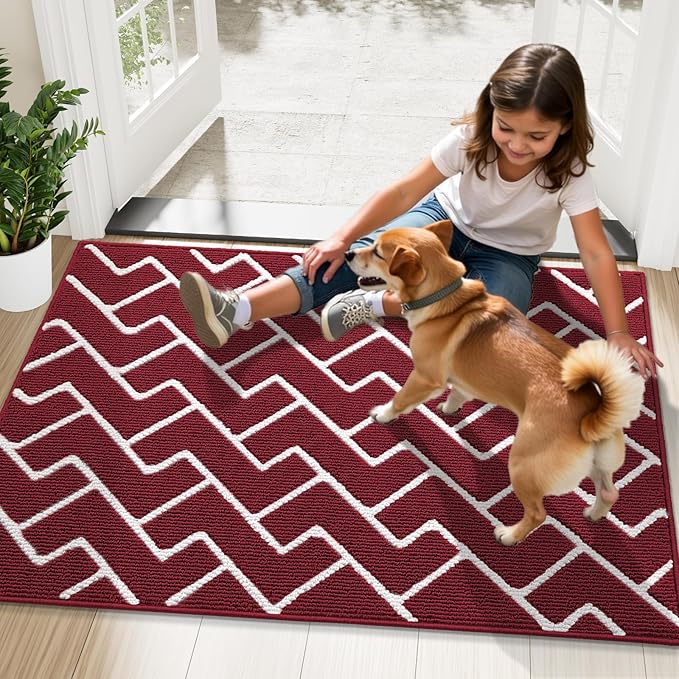 OLANLY Front Door Mat, Non-Slip Rubber Backing, Dirt Resistant and Absorbent, Washable, Easy to Clean Low-Profile Indoor Doormat for Back Door, Entryway, Inside Entrance, 32x20, Burgundy