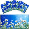 Hortsun 4 Pack 4 x 2 Feet Fluorescent Light Covers, Magnetic Light Filters by Hortsun
