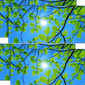 4 Pack 2x4 FT Magnetic Fluorescent Light Covers, Ceiling Light Filters by seewan
