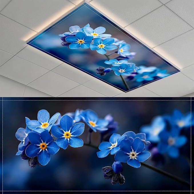 Fluorescent Light Covers-2 Pack 4 x 2 Feet Magnetic Ceiling Light Cover Room by BSFHH