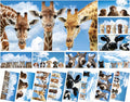 Wiooffen 8Pcs Fluorescent Light Covers by Wiooffen