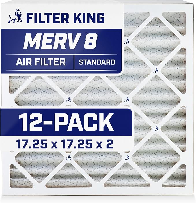 Filter King 17.25x17.25x2 Air Filter Dust & Allergy Control AC Furnace Filters by FilterKing