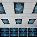8PCS Fluorescent Light Cover, 4x2 Feet Magnetic Light Cover Fluorescent Lights by QOUBAI