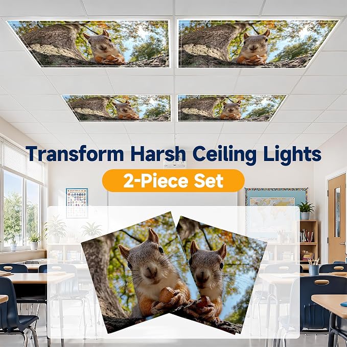 2 Pack Squirrel Eating Nut Decorative Ceiling Light Covers, Magnetic 4x2 Ft - Image 6