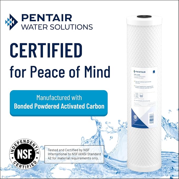 Pentair Pentek CBC-20 Carbon Water Filter, Whole House Carbon Block Replacement - Image 2