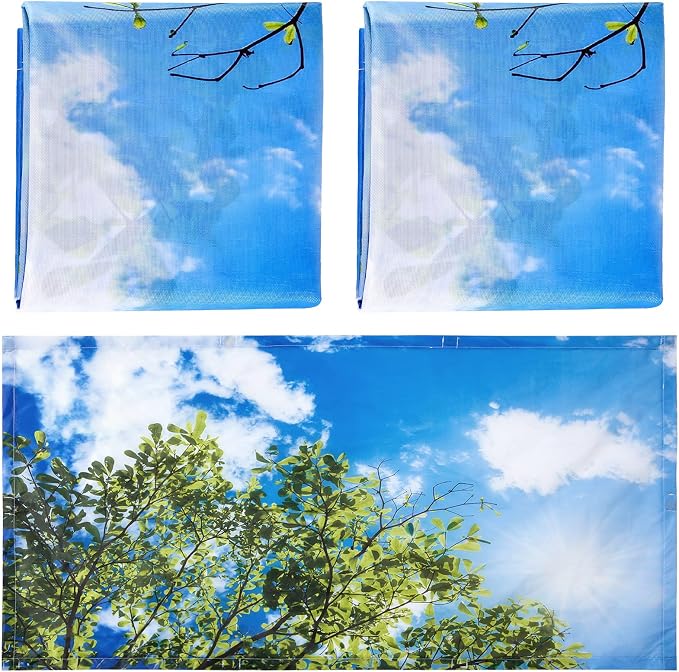 Hortsun Pack of 2 Fluorescent Light Covers 4 x 2 Feet Magnetic Ceiling Light by Hortsun