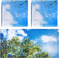 Hortsun Pack of 2 Fluorescent Light Covers 4 x 2 Feet Magnetic Ceiling Light by Hortsun