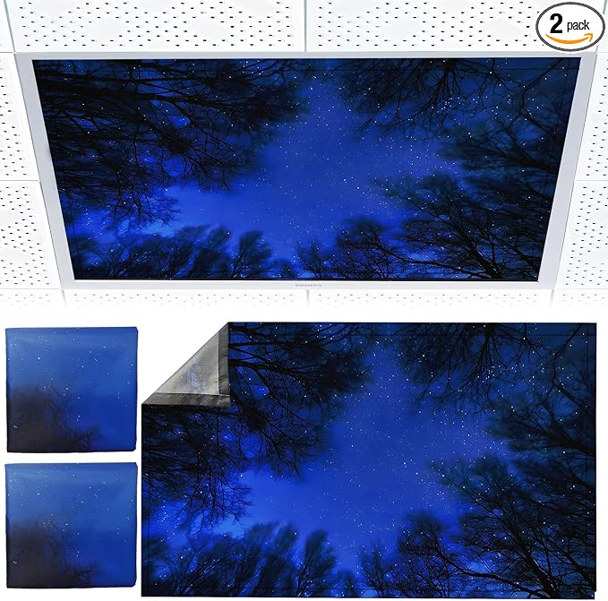 Torixqi 2pcs Fluorescent Light Covers by Torixqi