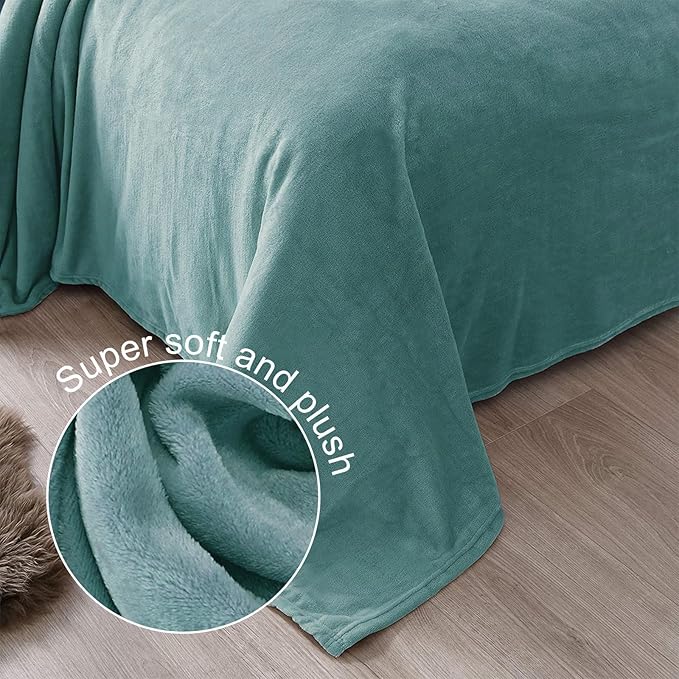 Exclusivo Mezcla Fleece Throw XL Blanket for Couch, Sofa, Super Soft and Warm Celadon Blankets, All Season, Cozy, Plush, Lightweight, 50x70 Inches