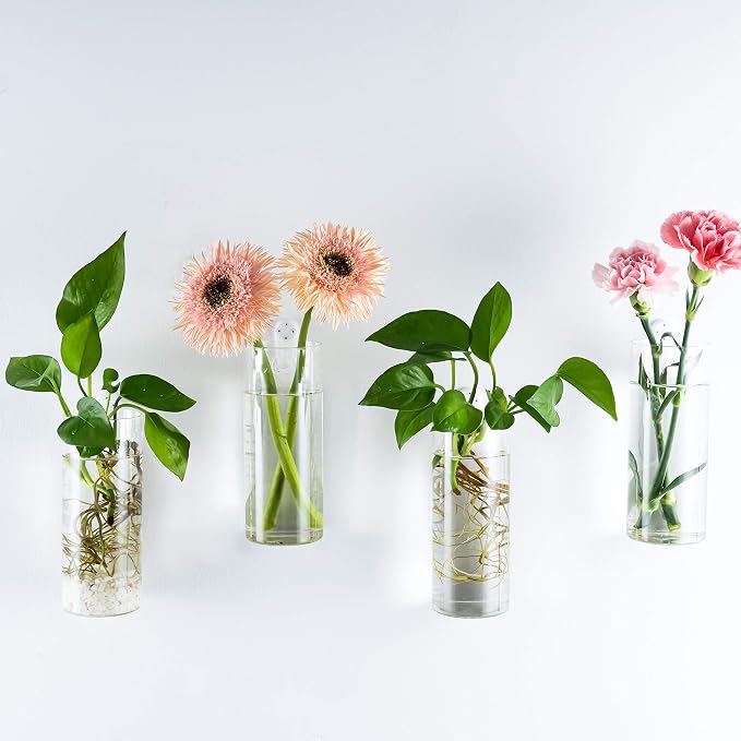 Kingbuy Short Cylinder Wall Planter 4 Pack, air plants, cuttings. Great gift - Image 3