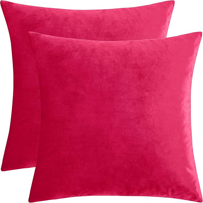 GIGIZAZA Red Velvet Decorative Throw Pillow Covers for Sofa Bed 2 Pack Soft Cushion Cover 20x20