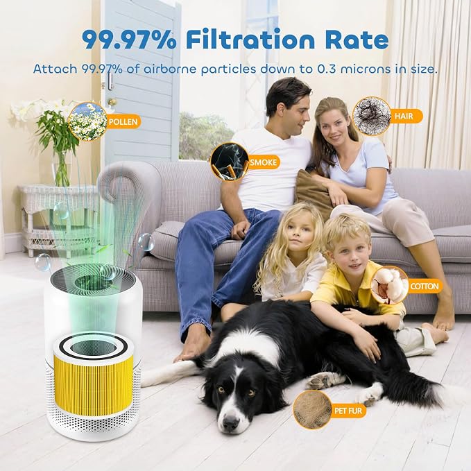 Core 300 Pet Care Replacement Filter - Image 4