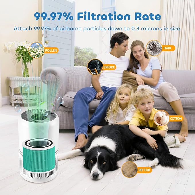 Core 300 Replacement Filter for LEVOIT Core 300 Core300-P Core 300S Core 300S/P - Image 5