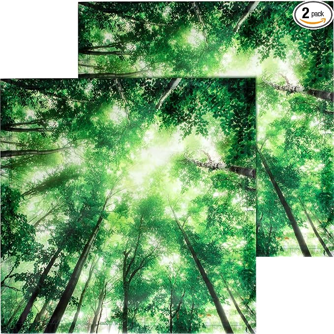 Baquler 2 Pcs 2 x 2 ft Fluorescent Light Covers by Baquler