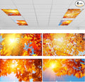 ROCEEI Pack of 4 Fluorescent Light Covers by ROCEEI