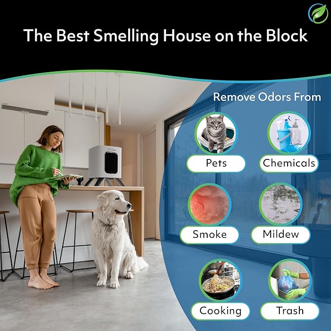 Air Oasis iAdaptAir 2.0 H13 HEPA Filter Air Purifier Reduces 99% of Viruses - Image 4
