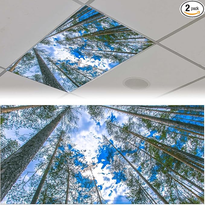 2PCS Fluorescent Light Covers for Classroom Ceiling Lights Magnetic Light Covers by Unknown