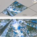 2PCS Fluorescent Light Covers for Classroom Ceiling Lights Magnetic Light Covers by Unknown