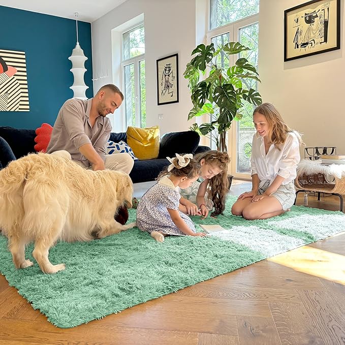 OLANLY 3x5 Machine Washable Small Bedside Rug, Soft Fluffy Shaggy Rugs for Living Room, Bedroom, Indoor Floor Carpet for Kids Girls and Boys, Preppy Dorms, Nursery, Home Decor Aesthetic, Mint Green
