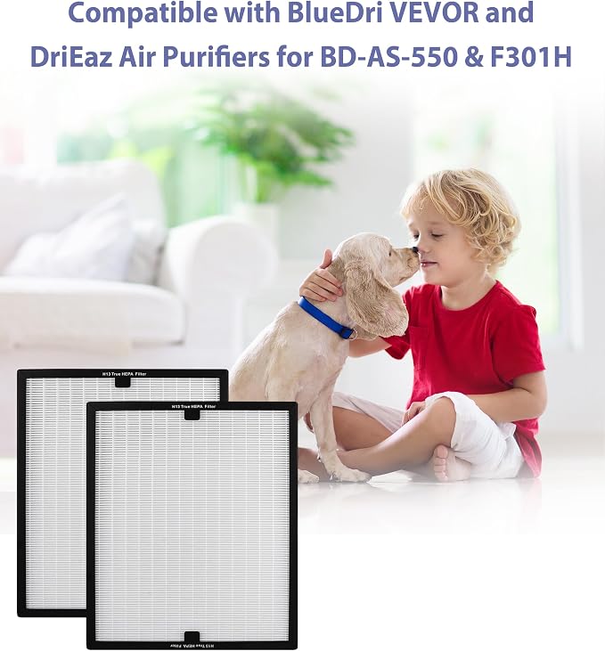 BD-AS-550 Air Scrubber Stage 2 Replacement Filter Compatible - Image 2