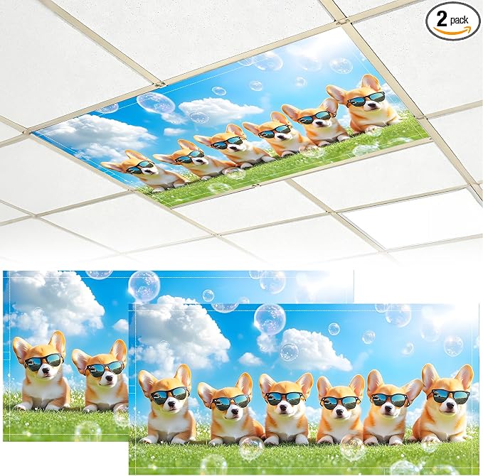 2 Pack Fluorescent Light Covers by BVBOX