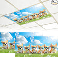 2 Pack Fluorescent Light Covers by BVBOX