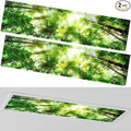 2 Pcs 1 x 4 Feet Fluorescent Covers by Wowangce