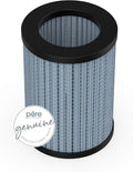 Pure Enrichment® Genuine 2-in-1 True HEPA Replacement Filter by Unknown