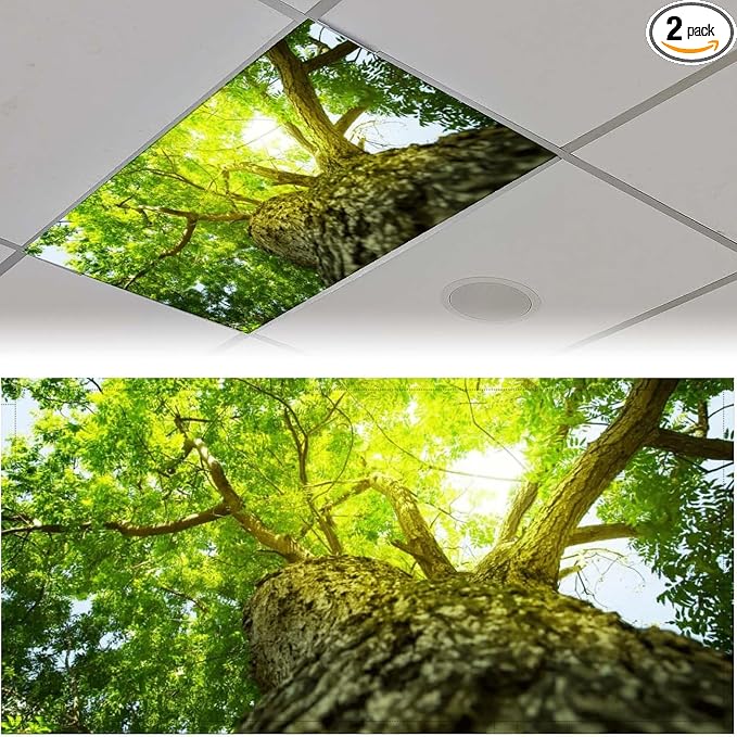 2PCS Fluorescent Light Covers for Classroom Ceiling Lights Magnetic Light Covers by Unknown