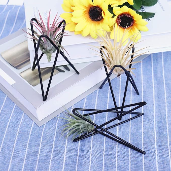Pack of 4 Air Plant Holder Tillandsia Base, Modern Geometric Metal Air Plant - Image 2