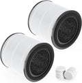 2-Pack AP0601 Replacement Filter Compatible by GoKBNY