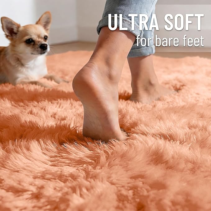 OLANLY 6x9 Machine Washable Large Area Rugs for Living Room, Bedroom, Soft Fluffy Shaggy Bedside Rug, Indoor Floor Carpet for Kids Girls and Boys, Dorms, Nursery, Home Decor Aesthetic, Muted Orange