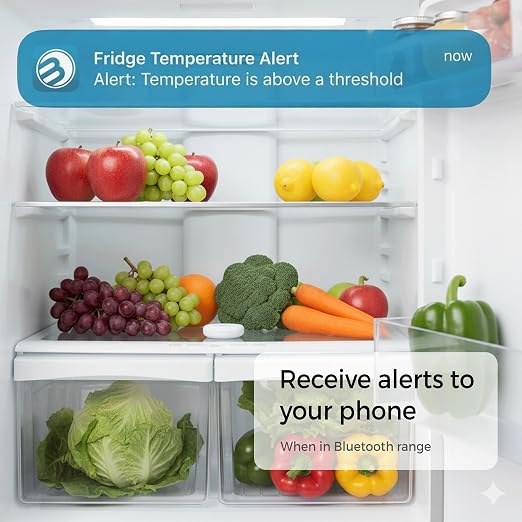 Temperature and Humidity Monitor - Image 4