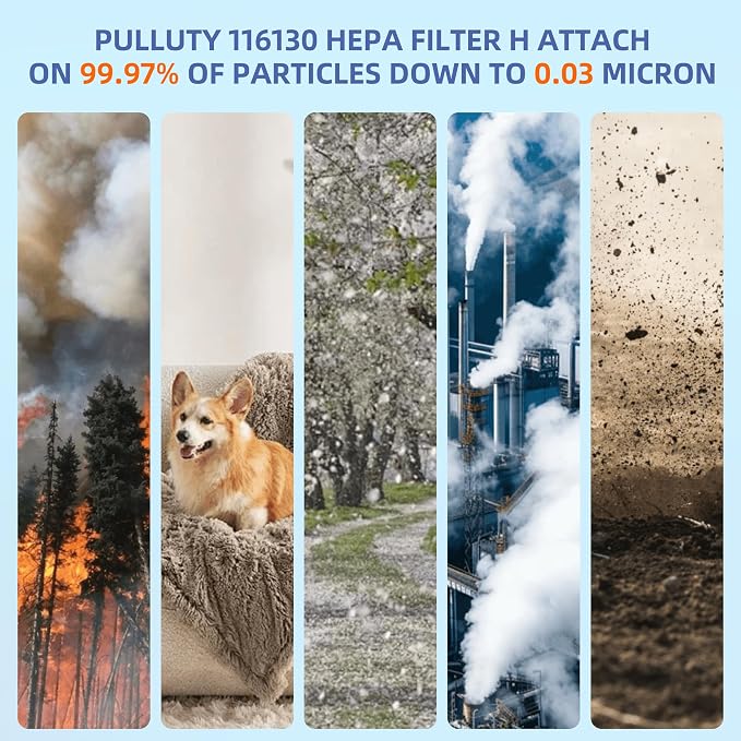 116130 HEPA Toxin Absorber Replacement Filter H - Image 2