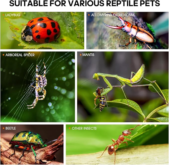 MYGIIKAKA Jumping Spider Enclosure Accessories, Tarantula Spider Box, Bug Cage - Image 7