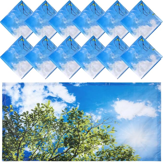Hortsun 12 Pcs Fluorescent Light Covers Bulk, 4 x 2 ft Magnetic Fluorescent by Hortsun