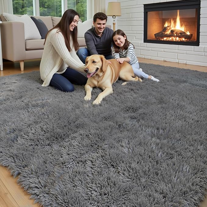 3x5 Rug, Bedside Preppy Dorm Area Rug, College Essentials Small Carpets for Bedroom, Anti Slip Grey Living Room Rugs Home Decor (Dark Grey, 3x5 Feet)