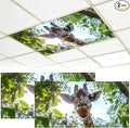 2 Pack Fluorescent Light Covers by BVBOX