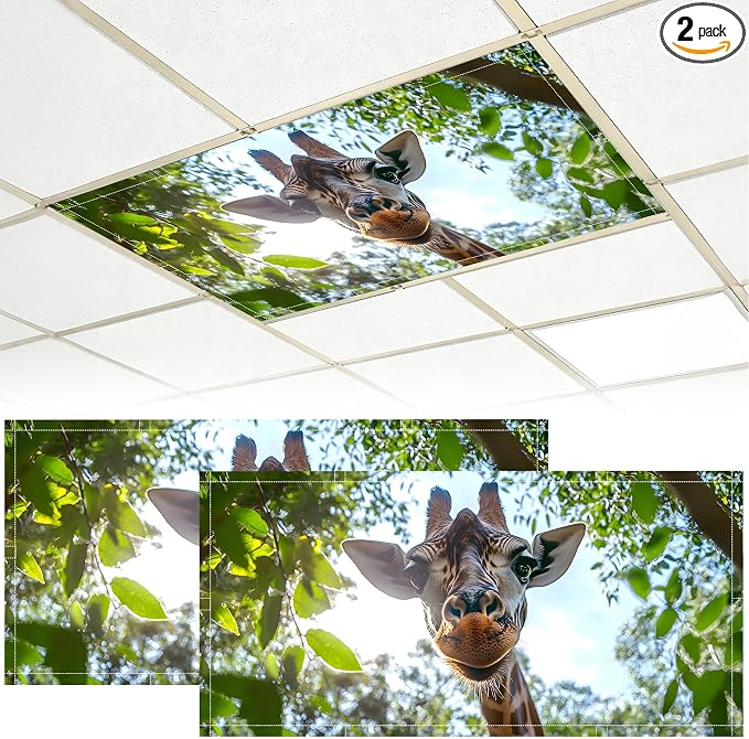 2 Pack Fluorescent Light Covers by BVBOX